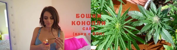 ПСИЛОЦИБИНОВЫЕ ГРИБЫ Инсар