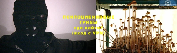 ПСИЛОЦИБИНОВЫЕ ГРИБЫ Инсар