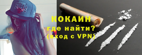 ПСИЛОЦИБИНОВЫЕ ГРИБЫ Инсар