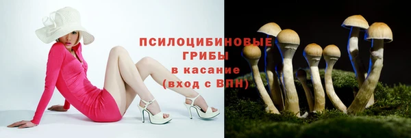 молекула духа Иннополис