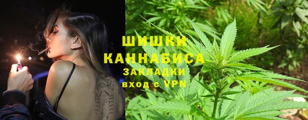 молекула духа Иннополис