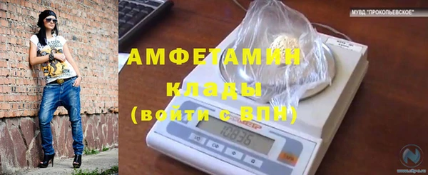 ПСИЛОЦИБИНОВЫЕ ГРИБЫ Инсар