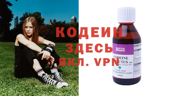 ПСИЛОЦИБИНОВЫЕ ГРИБЫ Инсар