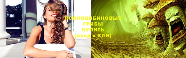 ПСИЛОЦИБИНОВЫЕ ГРИБЫ Инсар