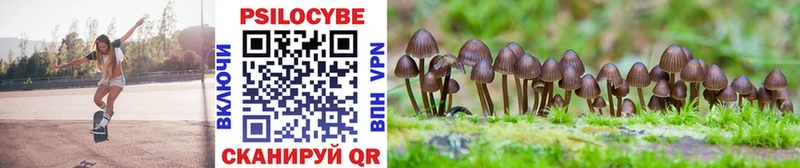 Купить  Кохма  Галлюциногенные грибы мухоморы 
